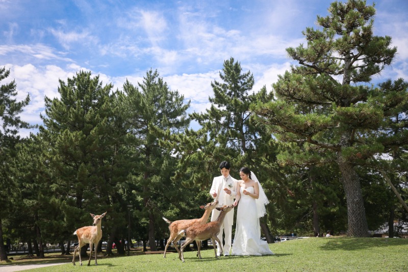 奈良といえば、鹿と緑と…?