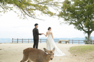 奈良ロケーション