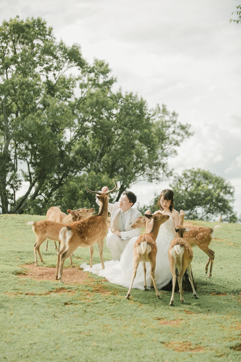 若草山で鹿とパシャリ♪ 【洋装ロケ】
