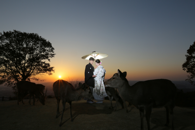 和装 3カ所ロケーション
