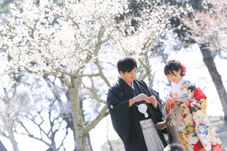 奈良公園 梅ロケ＆若草山