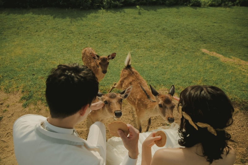 腹ペコ鹿さん！