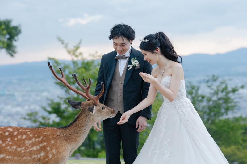 鹿さんと一緒に