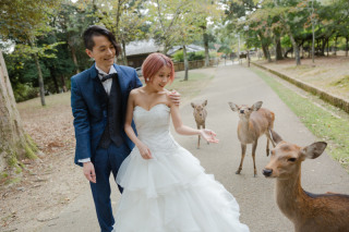 【洋装ロケーション】奈良公園