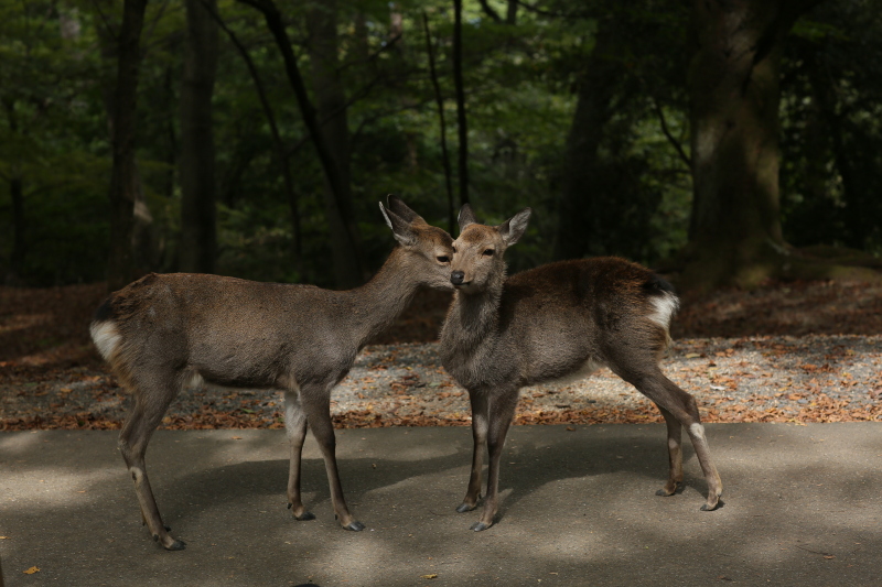 洋装ロケーションへと移動です