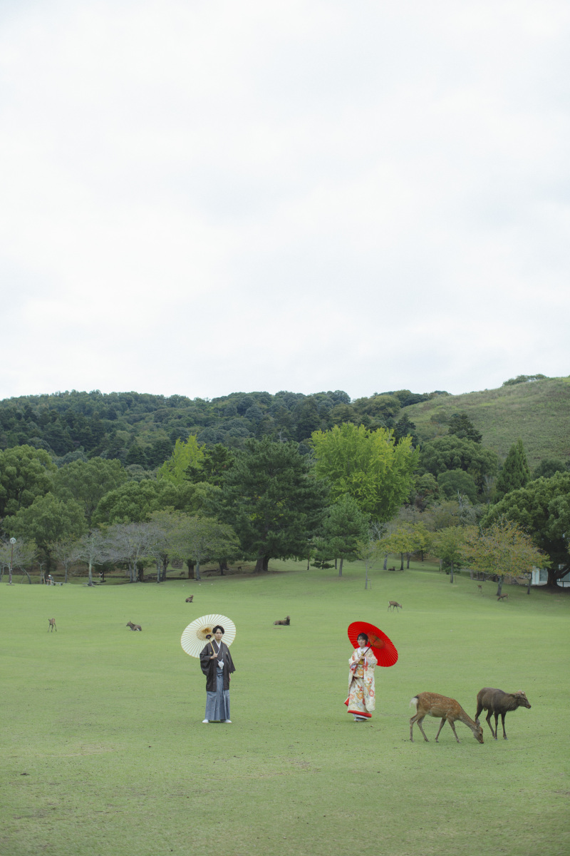 広い景色を入れて