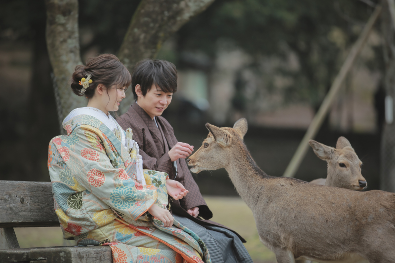 鹿せんべいで交流