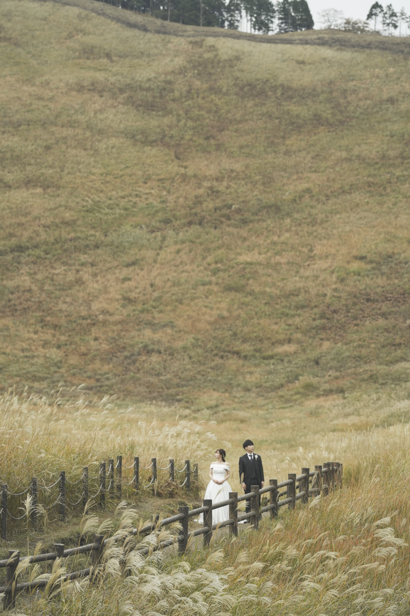 遠くからの一枚