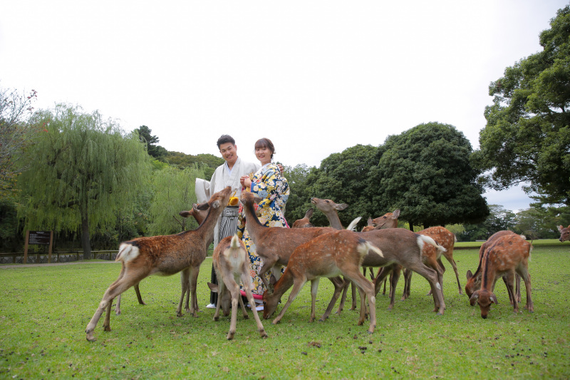 この日は鹿さんDay