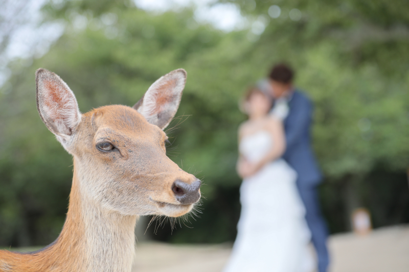 洋和ロケーション