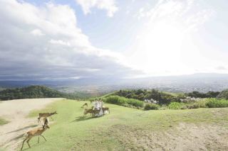 ハウススタジオ+ロケーション
