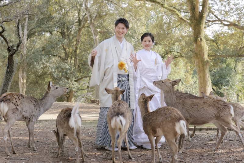鹿と一緒に