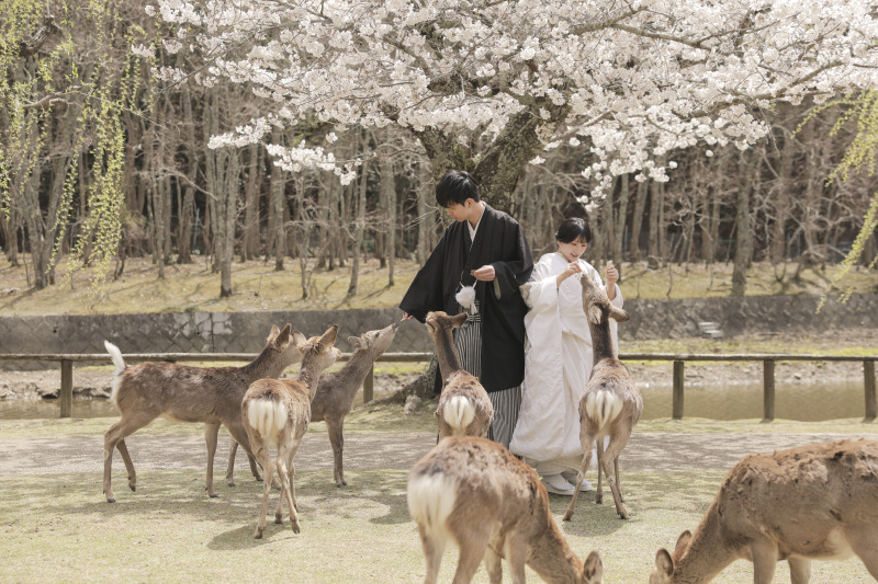 まずは鹿ちゃんと一緒に