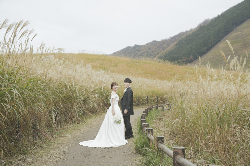 ススキのベストシーズン!