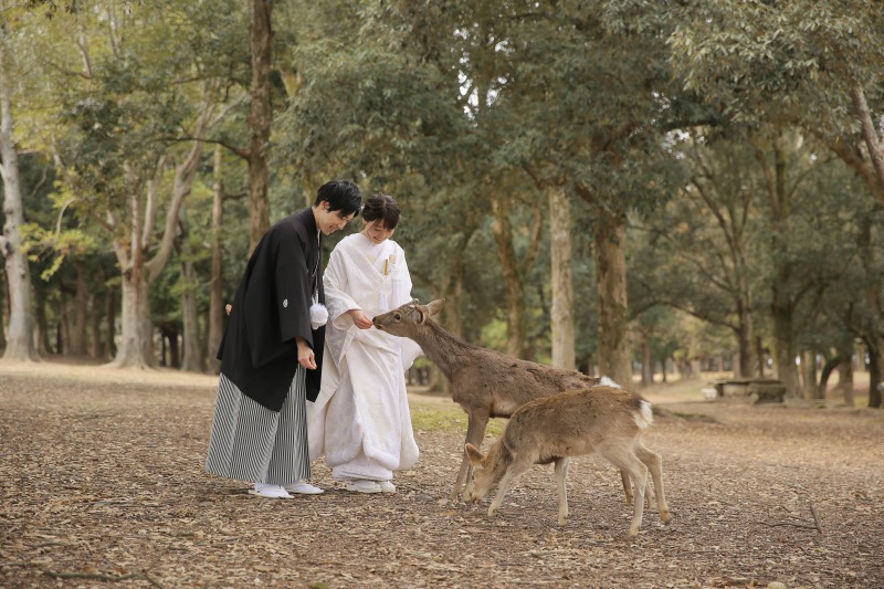 奈良公園といえば！