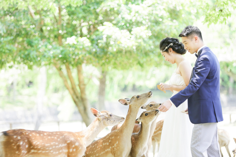 水玉模様の鹿と一緒に