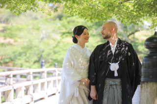 新緑の奈良公園