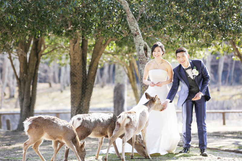 だいすきな鹿と一緒に