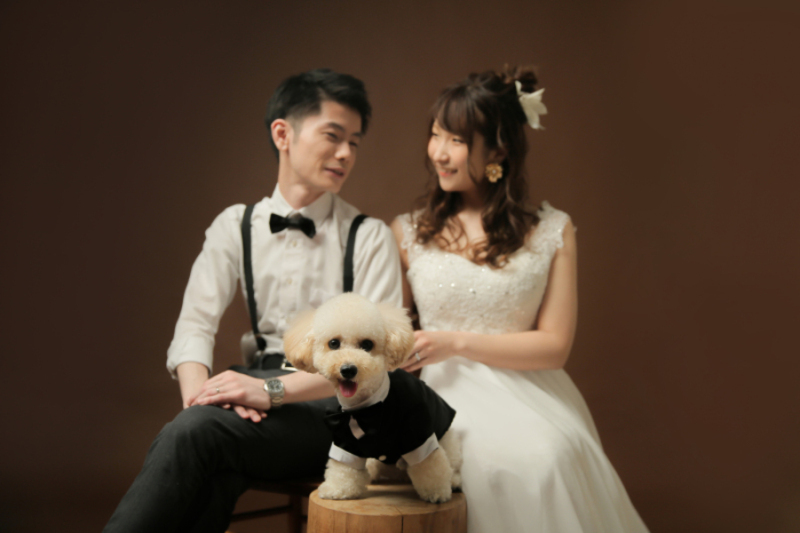 わんちゃんもおめかし♬