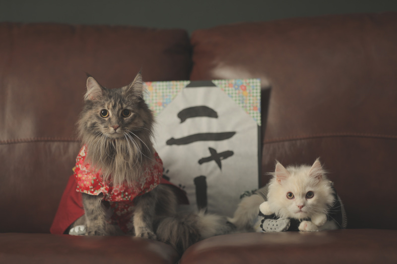 とっておきの小道具で!