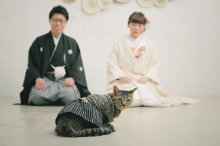 STUDIO TVB 奈良店（スタジオTVB）