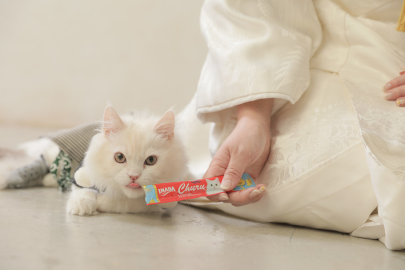 ちゅーるがあればごきげん?!