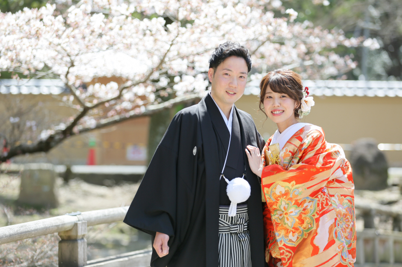 STUDIO TVB 奈良店(スタジオTVB)_色打掛・着物が豊富