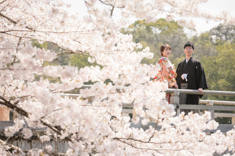 Point1 多彩な撮影シーン