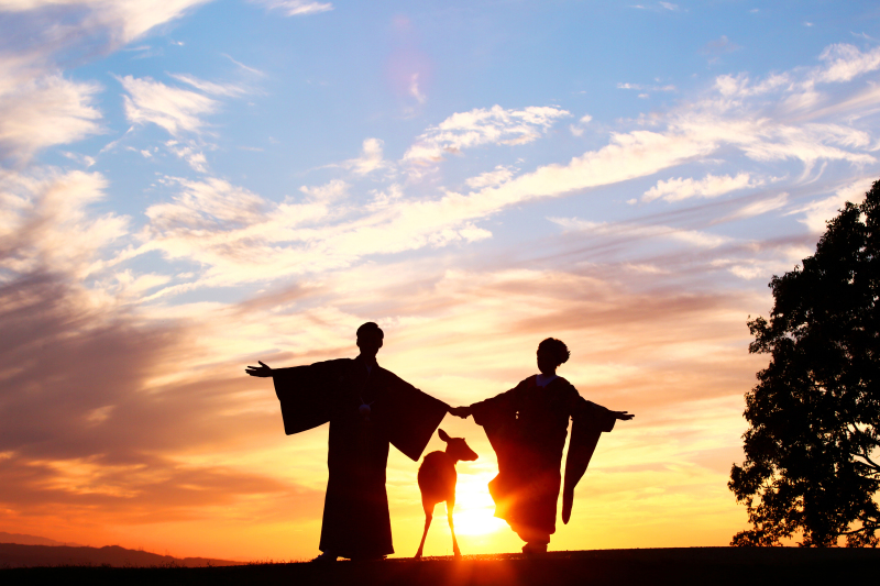 Point1 多彩な撮影シーン