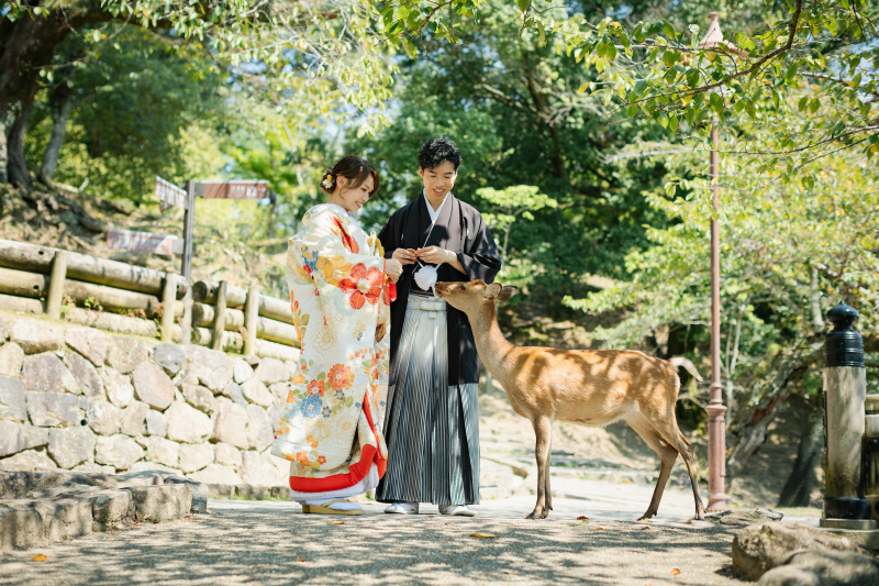 奈良公園 和装ロケーション◇全データ150カット・美肌補正付き