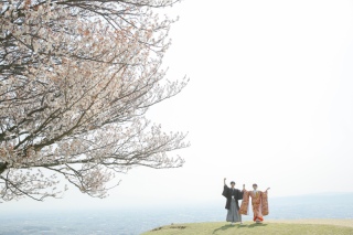 美しい若草山からの景色で撮る！鹿も一緒に♪