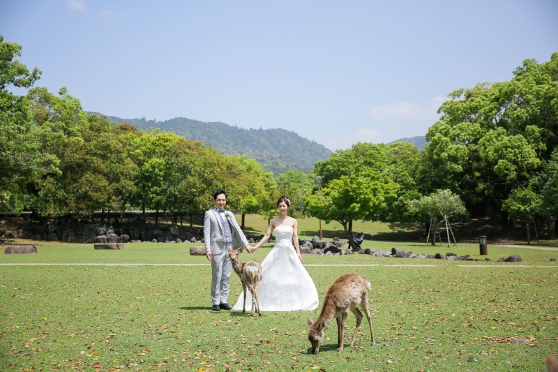 奈良公園 洋装ロケーション◇全データ200カット・スタイルアップ&美肌補正付き