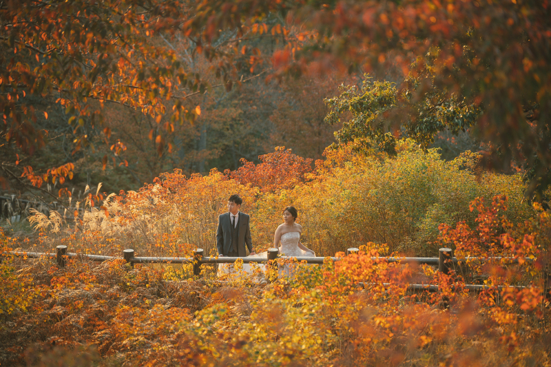 【紅葉残りわずか!】若草山ロケーション◇全データ200カット・美肌補正付き