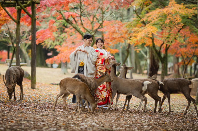 【紅葉残りわずか!】浮見堂ロケーション◇全データ150カット・美肌補正付き