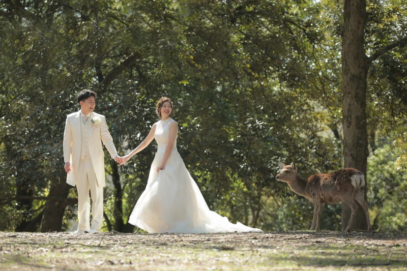 奈良公園 洋装ロケーション◇全データ200カット・スタイルアップ&美肌補正付き