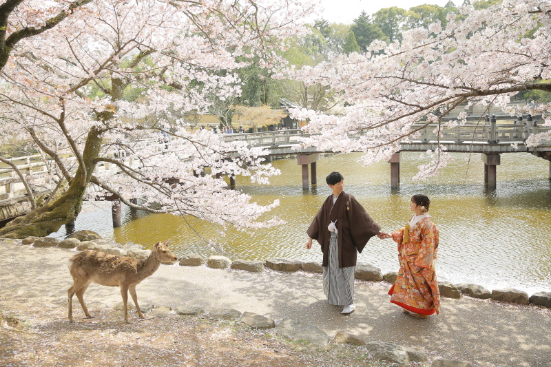 【桜シーズン限定特典付き】　浮見堂 和装 桜ロケーション