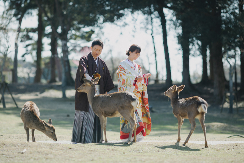 奈良公園 和装ロケーション◇全データ150カット・美肌補正付き