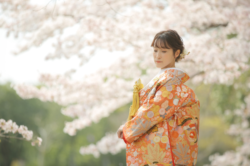 【桜シーズン限定特典付き】　浮見堂 和装 桜ロケーション
