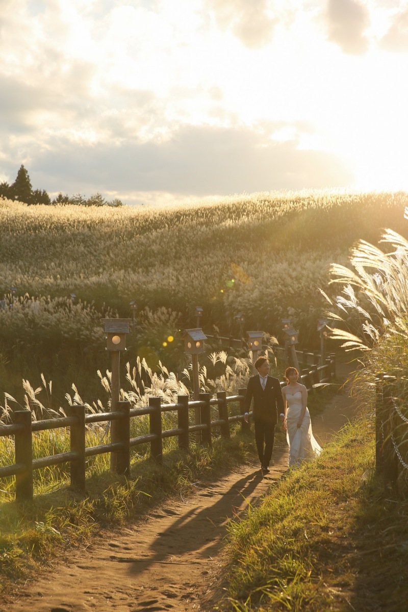 曽爾高原 洋装ロケーション◇全データ300カット・スタイルアップ&美肌補正付き