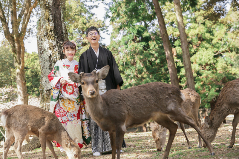 和装浮見堂+洋装若草山◇全データ350カット・スタイルアップ&美肌補正付き