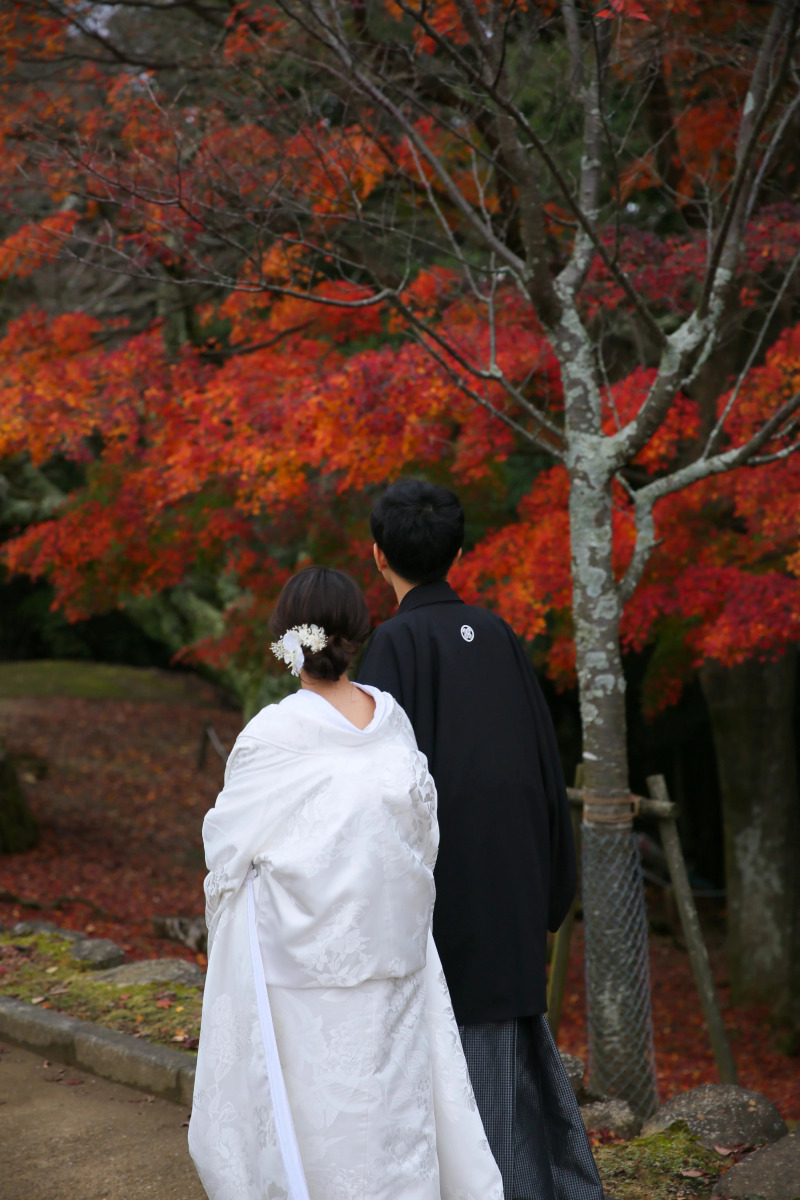 【紅葉残りわずか!】若草山ロケーション◇全データ200カット・美肌補正付き