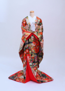 オレンジ 菊 藤　A939