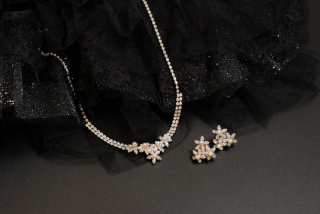 アクセサリー【N223】