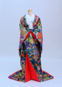 晴の夢 絽 紦織　A854