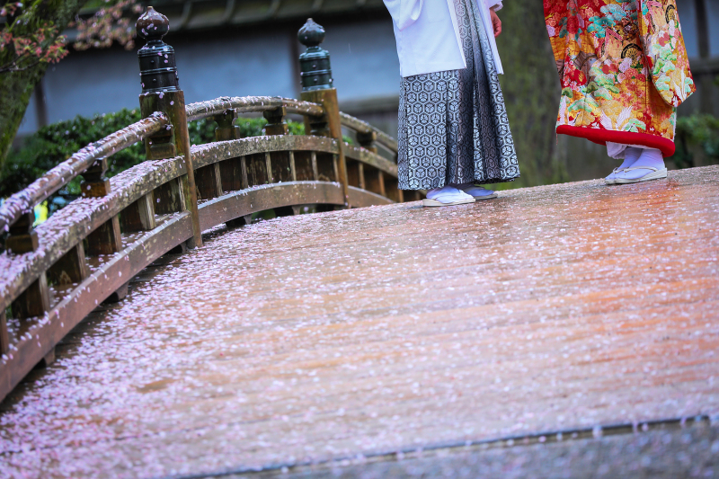 花屑が広がる橋