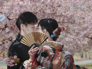 和装ウエディング♡桜ロケーション