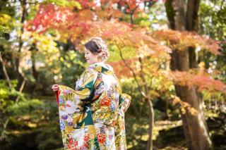 今年の紅葉ロケーション