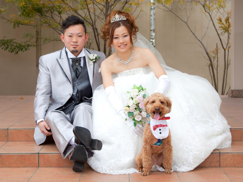 ペットと前撮り