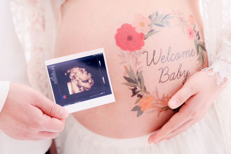 エコー写真とお腹と