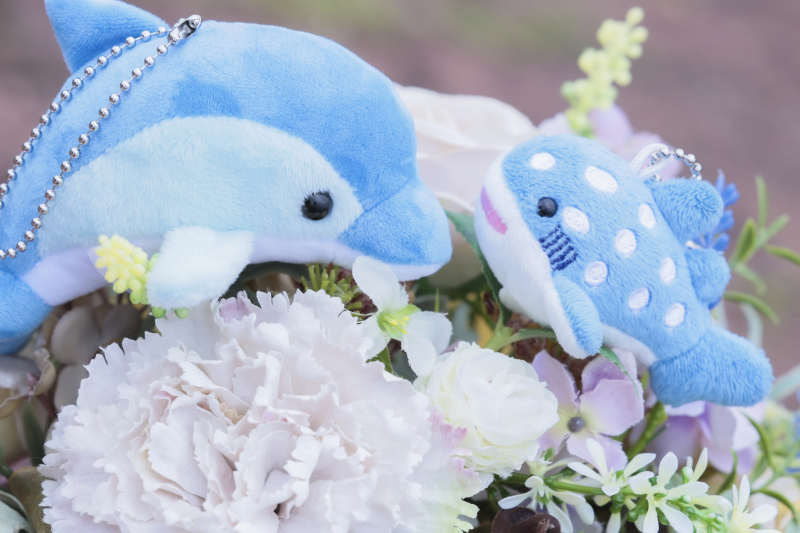 能登島といえば